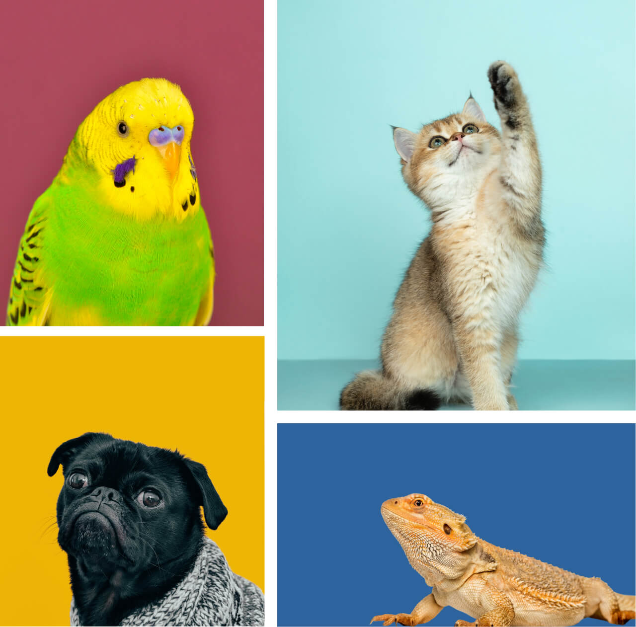 arcaplanet-design-principle