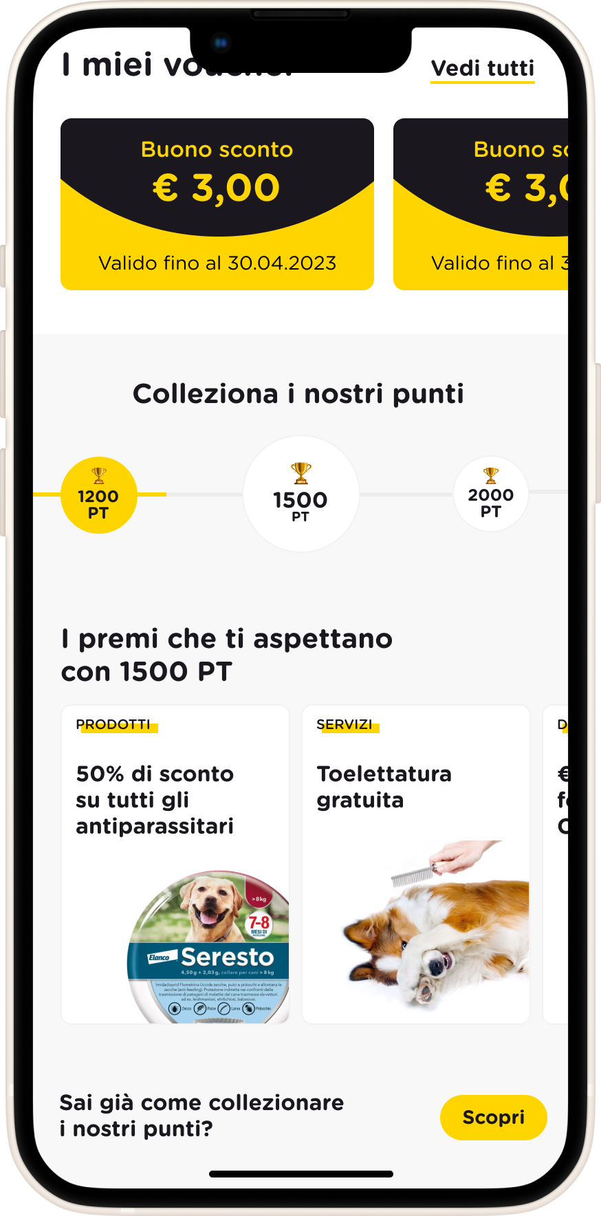 ArcaPlanet-fidelitycard02